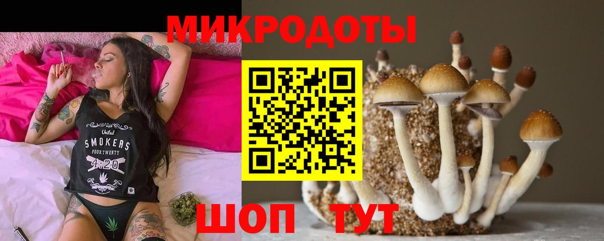 Галлюциногенные грибы Psilocybine cubensis  Вход с VPN  Белореченск 